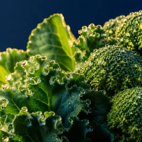 Vitamina K